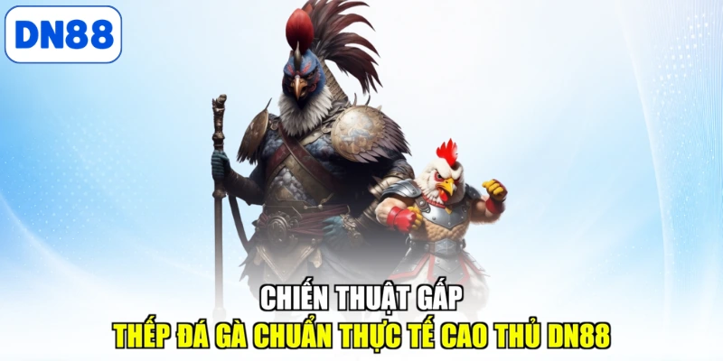 Chiến thuật gấp thếp đá gà