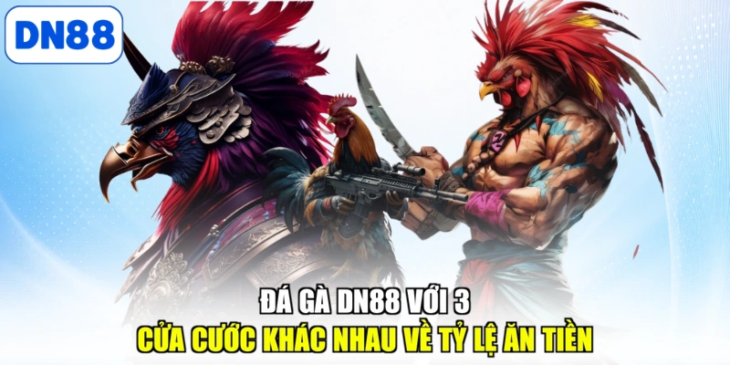 Đá gà DN88 với 3 cửa cước khác nhau về tỷ lệ ăn tiền