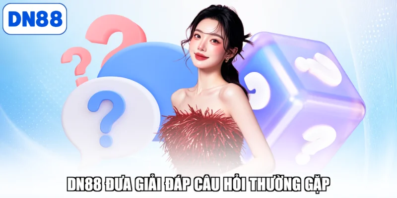 DN88 đưa giải đáp câu hỏi thường gặp
