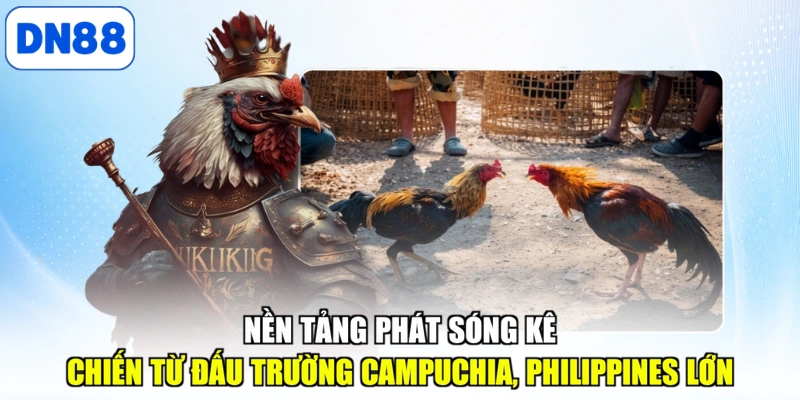 Nền tảng phát sóng kê chiến từ đấu trường Campuchia, Philippines lớn