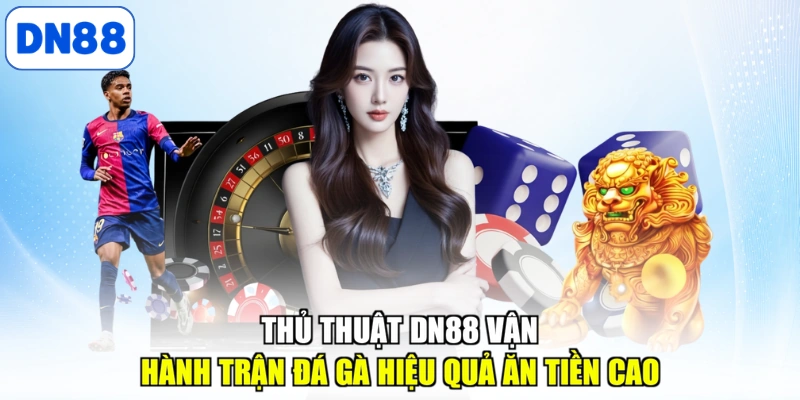 Thủ thuật DN88 vận hành trận đá gà hiệu quả ăn tiền cao