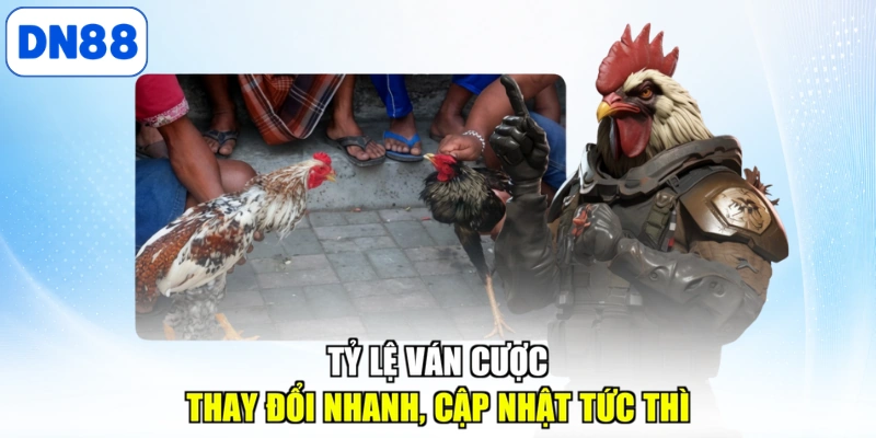 Tỷ lệ ván cược thay đổi nhanh, cập nhật tức thì